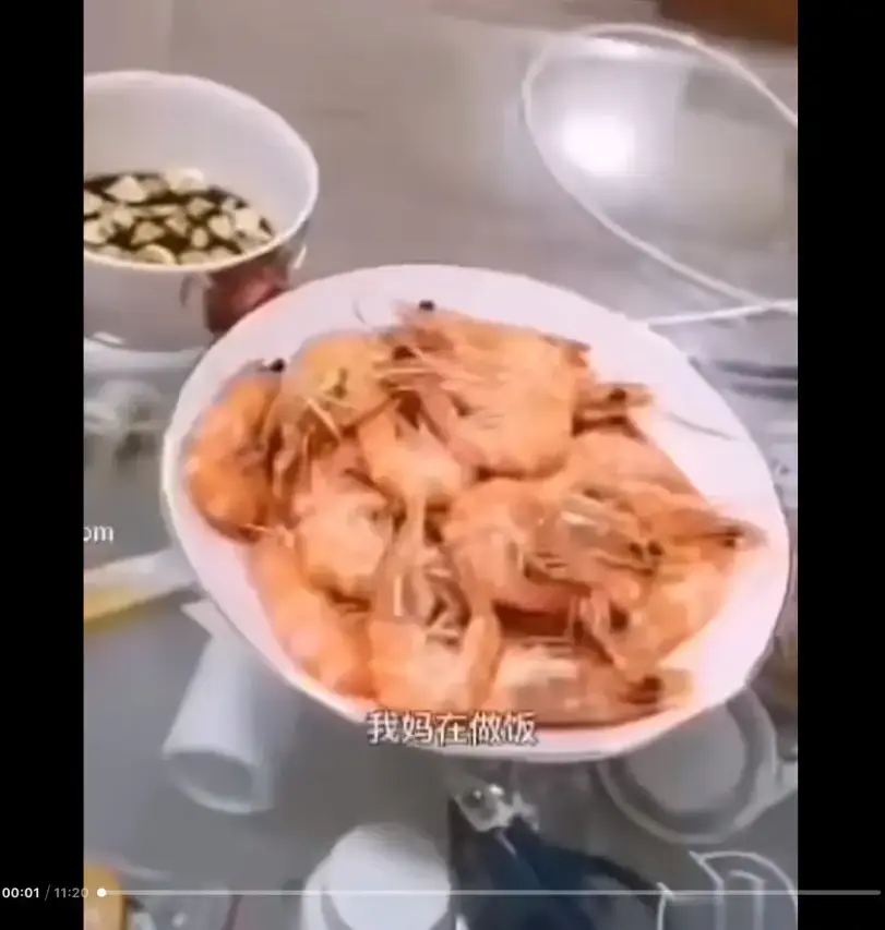 《大虾母子厨房完整版》高清视频免费在线观看-猎奇视频梗来龙去脉解析-完整版剧情全知道