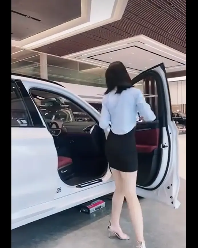 佳木斯新玛特迪桑特女销售导购实录1080P高清无删减-女销售导购事件全系列完整版-免费在线看无广告资源下载