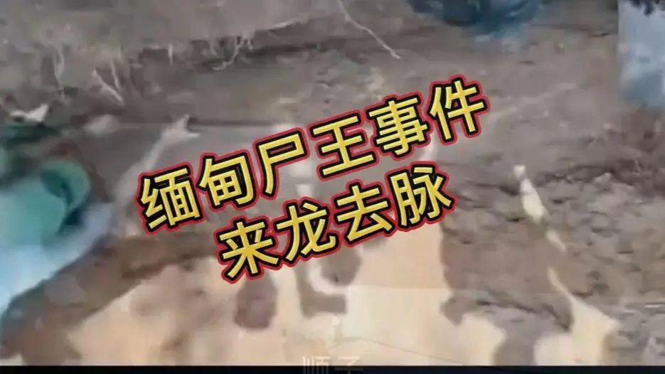 在线观看《缅甸僵尸出土事件视频》诡异真相解密在线观看免费播放 - 爆火视频《缅甸僵尸出土事件视频》完整版资源在线观看免费播放，缅北僵尸出土事件始末原视频高清下载，超清未删减全程录像